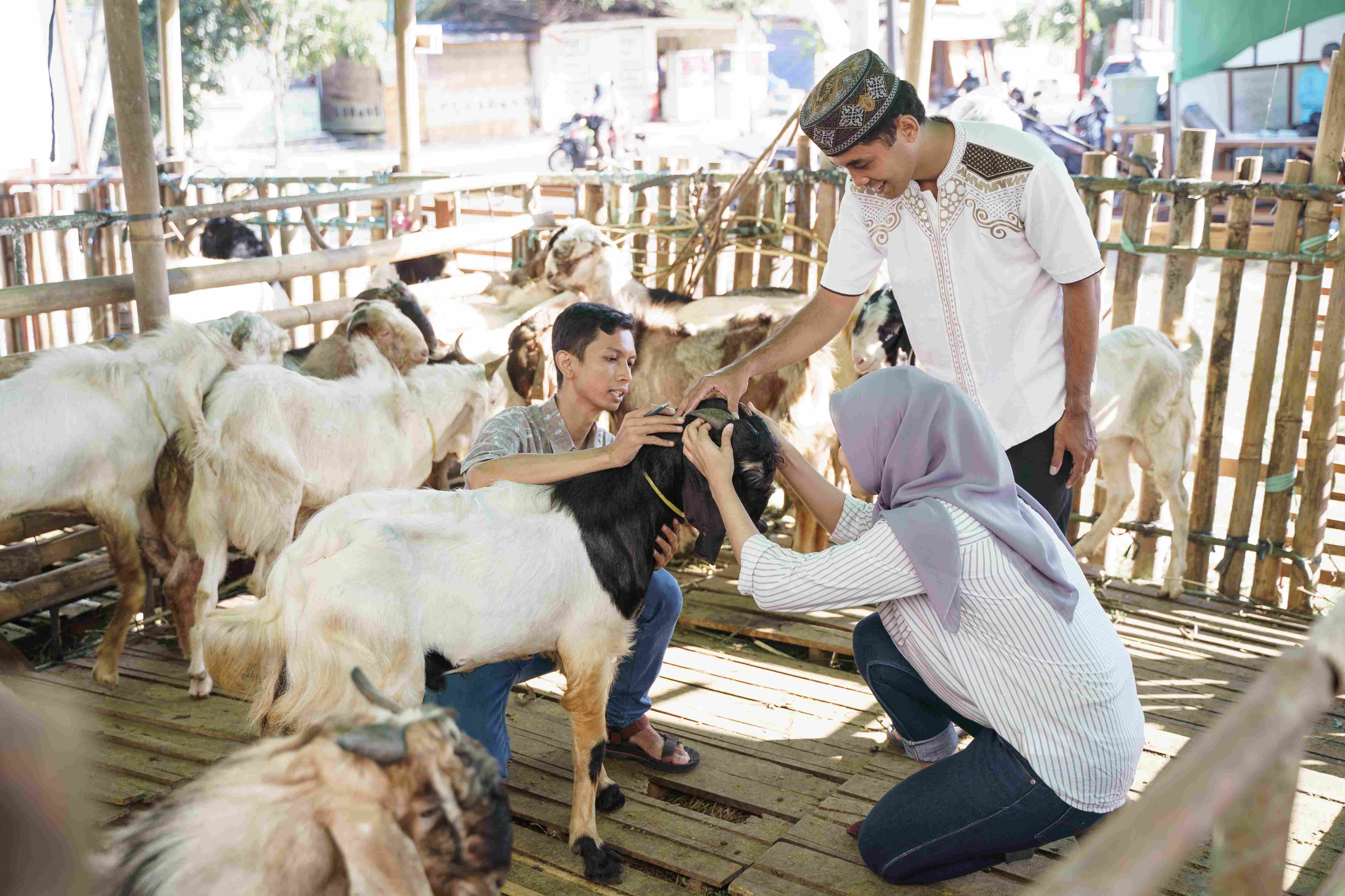 Qurbani Services 4