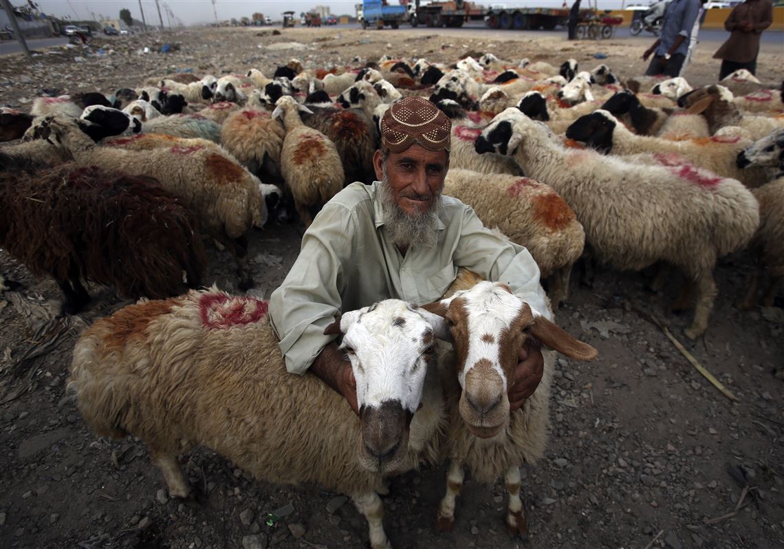 Qurbani Services 5